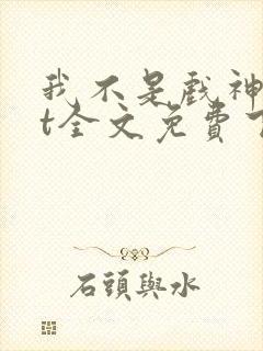 我不是戏神txt全文免费下载