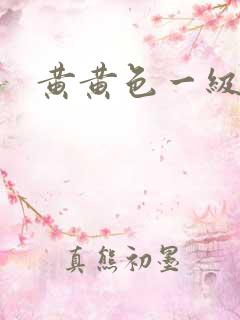 黄黄色一级片