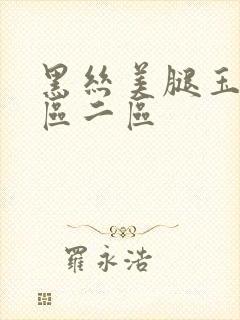 黑丝美腿玉足一区二区