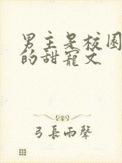 男主是校园大佬的甜宠文