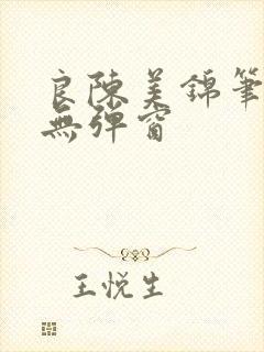 良陈美锦笔趣阁无弹窗