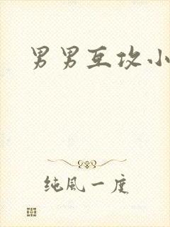男男互攻小说