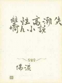 双性高潮失禁啊啊h小说