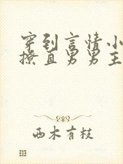 穿到言情小说里撩直男男主