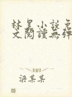 林昊小说免费全文阅读无弹窗