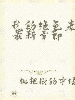 我的绝色老板娘最新章节