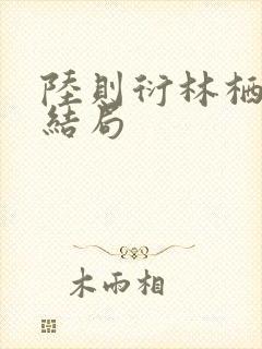 陆则衍林栖小说结局