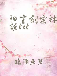 神霄剑宗林枫小说txt