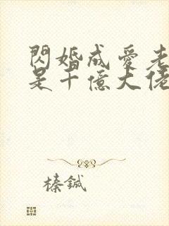 闪婚成爱老公竟是千亿大佬