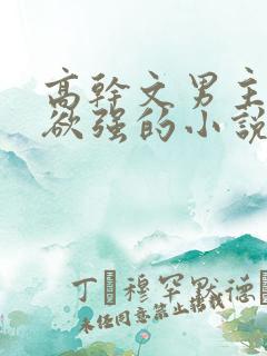 高干文男主占有欲强的小说