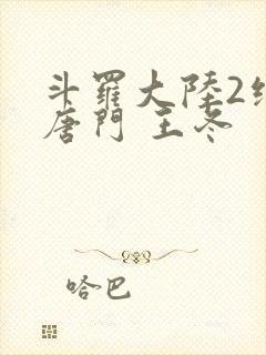斗罗大陆2绝世唐门 王冬