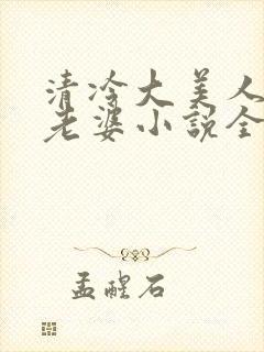 清冷大美人是我老婆小说全文阅读