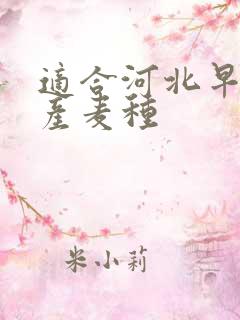 适合河北早熟高产麦种