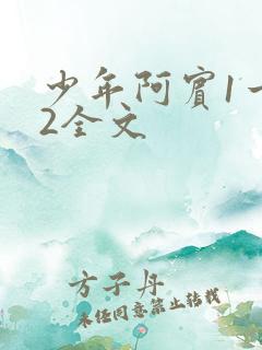 少年阿宾1一72全文