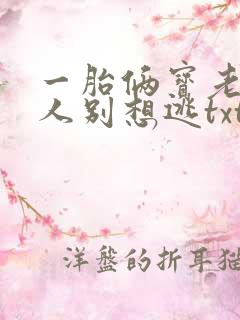 一胎俩宝老婆大人别想逃txt下载