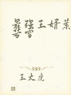 最强王婿叶凡唐若雪