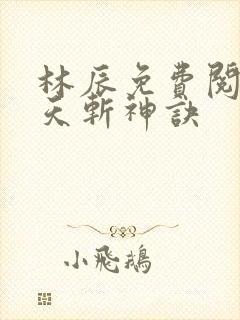 林辰免费阅读九天斩神诀