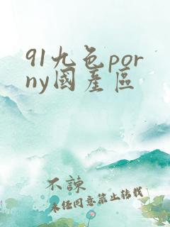 91九色porny国产区