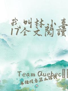 我叫林小喜今年17全文阅读