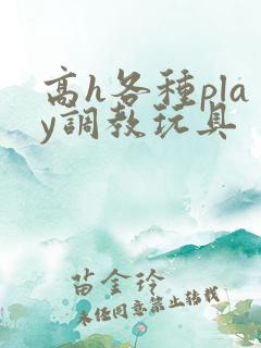 高h各种play调教玩具