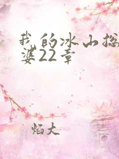 我的冰山总裁老婆22章