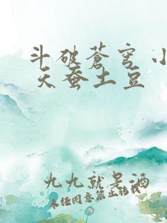 斗破苍穹 小说 天蚕土豆