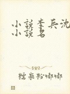 小说李兵沈思的小说名