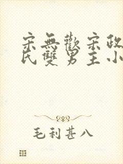 宋无欢宋政扬宋氏双男主小说推荐