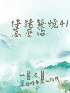 仔猪发烧41度怎么治