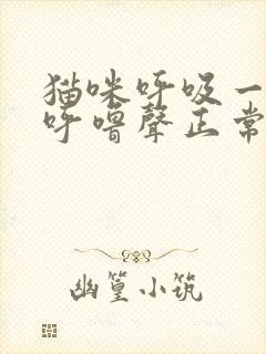 猫咪呼吸一直有呼噜声正常吗