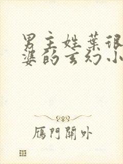 男主姓叶很多老婆的玄幻小说