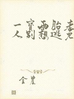 一宝两胎老婆大人别想逃免费阅读