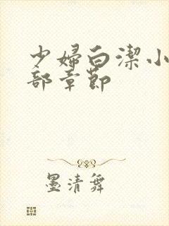 少妇白洁小说全部章节