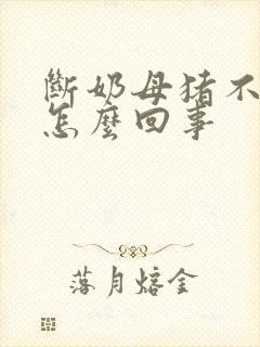 断奶母猪不吃食怎么回事