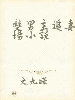 双男主追妻火葬场小说