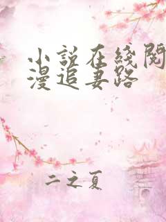 小说在线阅读漫漫追妻路