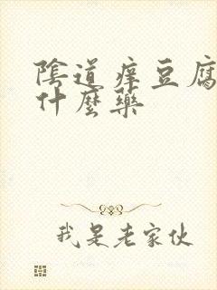 阴道痒豆腐渣用什么药