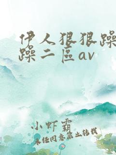 伊人狠狠躁夜夜躁二区av