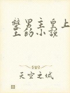 双男主皇上摄政王的小说