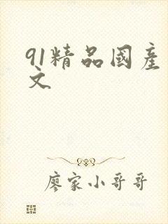 91精品国产中文