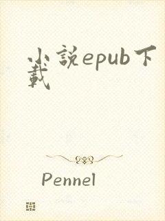 小说epub下载