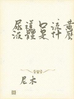 尿道口流黄色的液体是什么