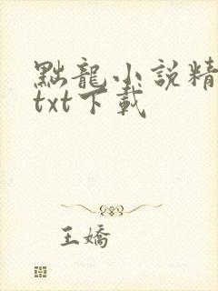 黜龙小说精校版txt下载