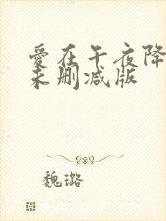 爱在午夜降临前未删减版