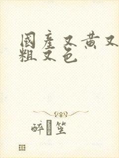 国产又黄又猛又粗又色