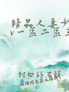 精品人妻少妇av一区二区三区