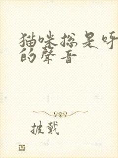 猫咪总是呼噜噜的声音