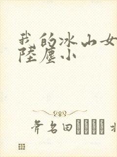 我的冰山女总裁陆尘小