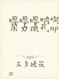 嗯嗯嗯呐啊啊啊用力操我np