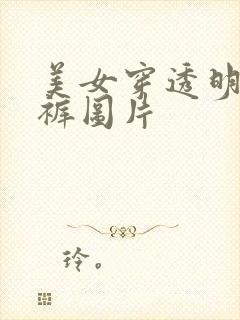 美女穿透明小内裤图片